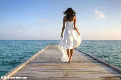 吃瓜节讲背影,传承与感恩的故事