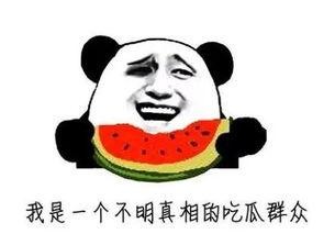 吃瓜小博士,趣味科普背后的科学魅力