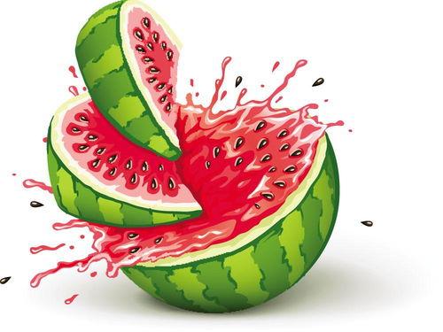 小朋友吃瓜教案,小朋友快乐吃瓜教学活动概述