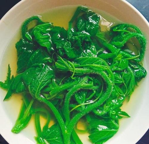 瓜尖儿咋吃,解锁夏日清新口感新选择