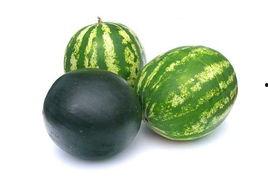 后山饭店吃瓜事件,一场引发热议的美食纠纷