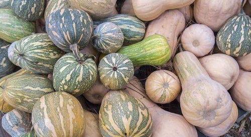 吃瓜不分天气,吃瓜乐无边