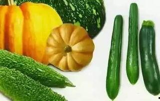 渡头吃瓜,吃瓜群众的欢乐时光