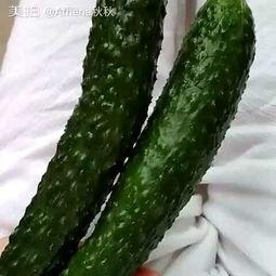 吃货瓜小瓜,探寻美食世界的奇妙之旅