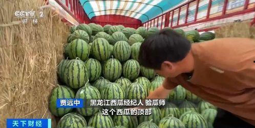 吃瓜垫子,网红神器背后的故事