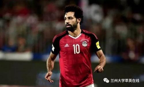 吃瓜群众2018111,揭秘吃瓜群众2018111背后的故事