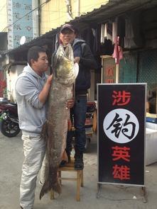 钓鱼人和吃瓜群众,揭秘钓鱼人的世界与吃瓜群众的围观视角
